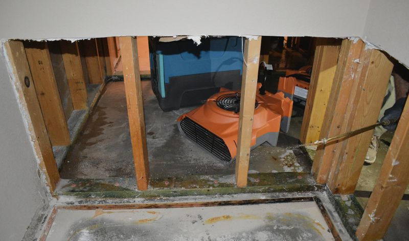Crawl Space Water Remediation in Chandler, AZ