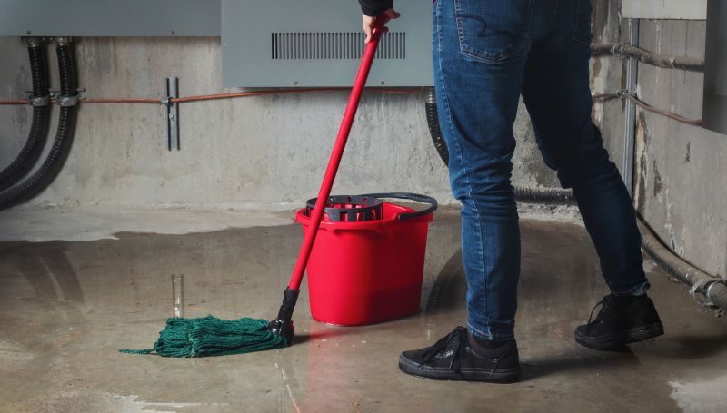 Flood Cleanup Service in Santa Rosa, CA