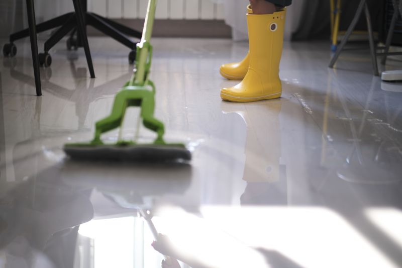 Moisture Removal Service in Wilmington, NC