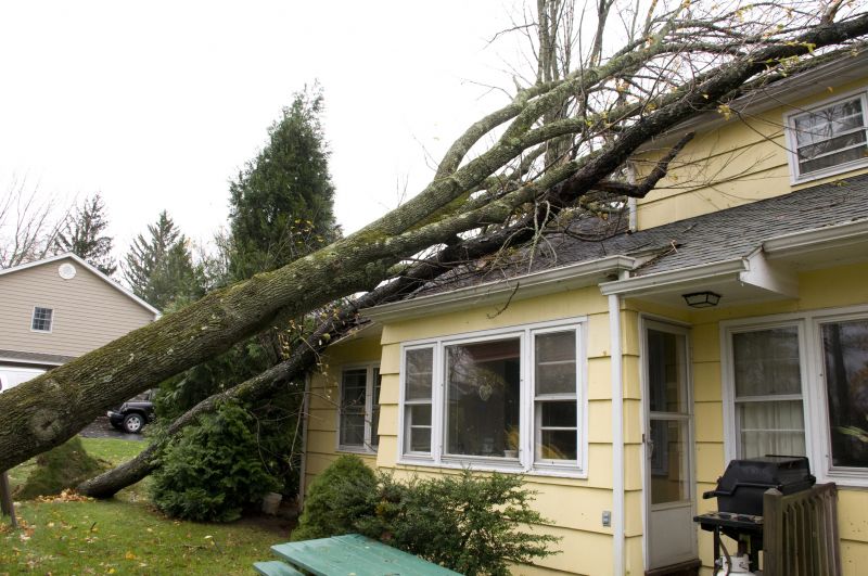 Storm Damage Cleanup in Chandler, AZ