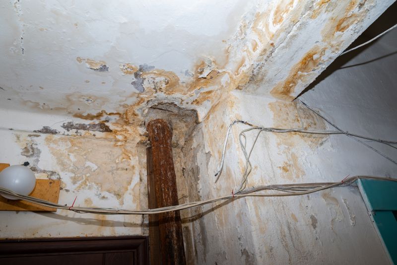 Water Damage Repair in Wilmington, NC