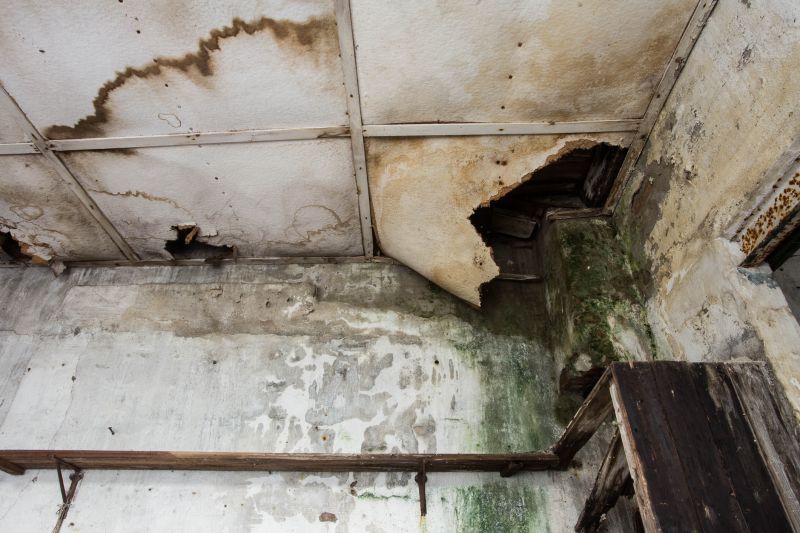 Water Damage Restoration in Mesa, AZ