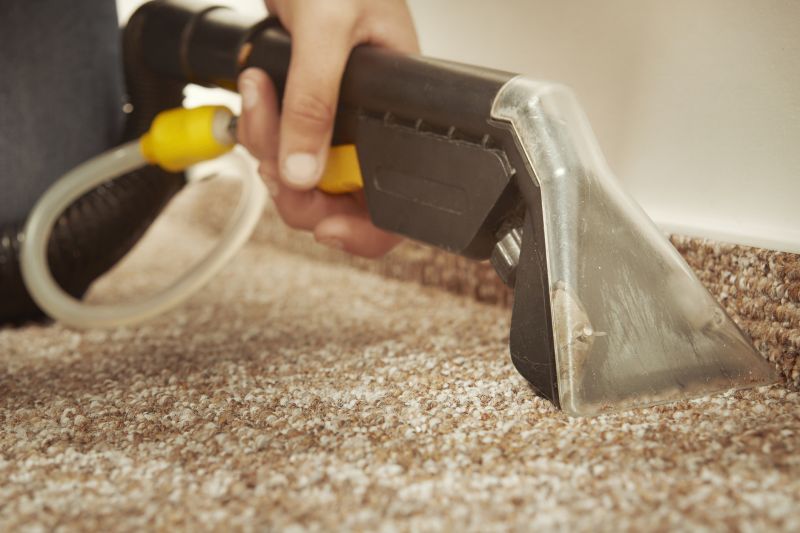 Wet Carpet Drying in Phoenix, AZ